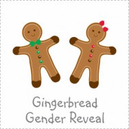 Gingerbread Gender Reveal Baby Shower Invitations